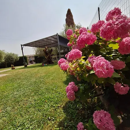 דירה Dolcitalia Tra Gardaland E Le Terme Di Lazise *
